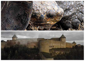 Photographs of a tortoise and a castle by artists Javier Alonso and Kalju Kotka.