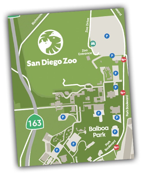 Graphical Map of Balboa Park indicating parking areas and bus, shuttle and rideshare stops