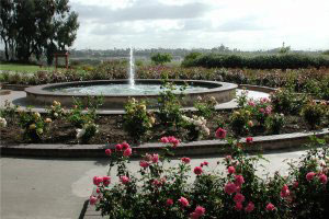 Photo of the Rose Garden, 1 of 4