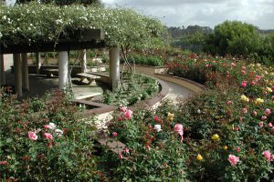 Photo of the Rose Garden, 3 of 4