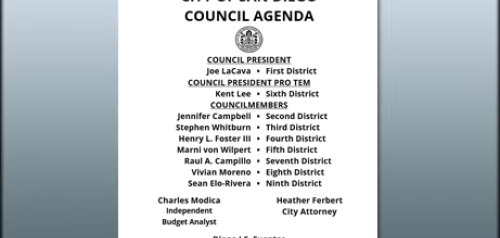 City Council Meeting Documents (Agendas/Supporting Materials, Results Summaries, Minutes)