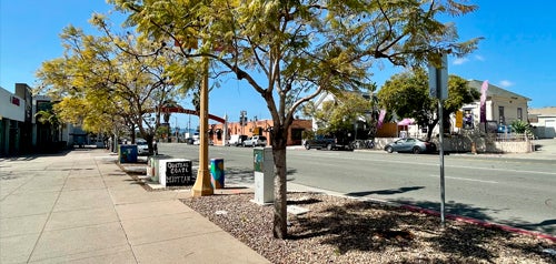 Trees along a street in Barrio Logan 