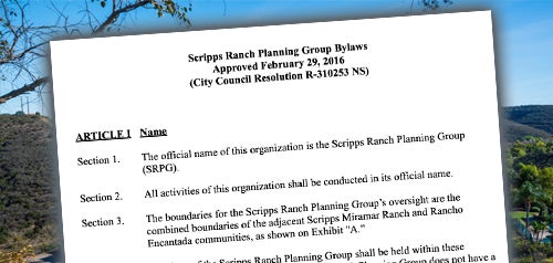 Screenshot of Bylaws document