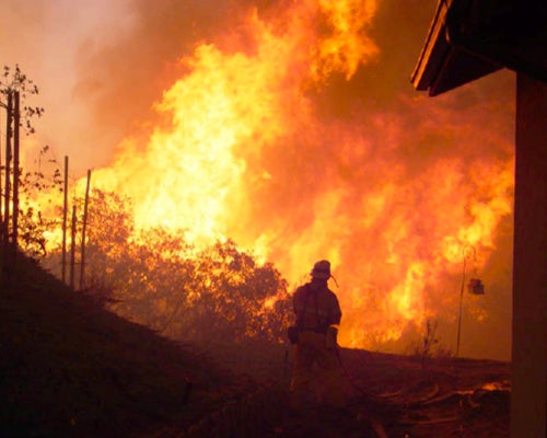 Infographic displaying wildfire.