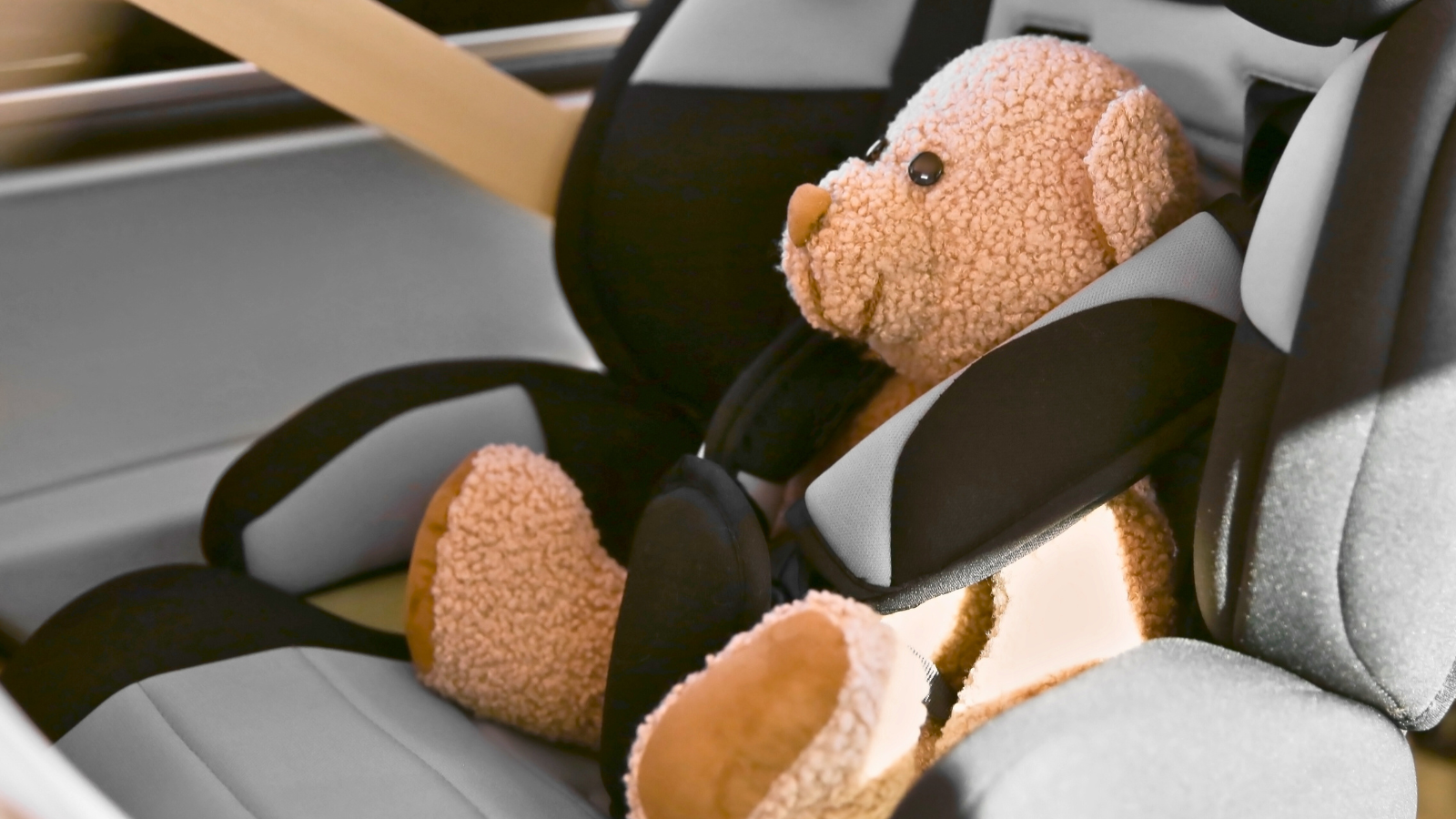 teddy bear in car seat