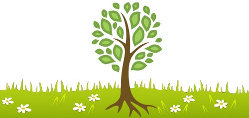 Logo for Tree San Diego