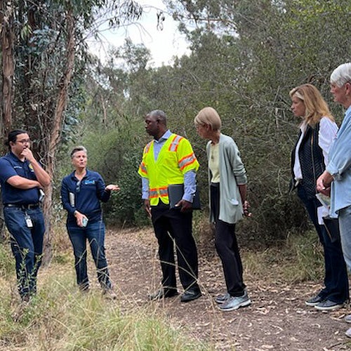 Fire-Rescue staff speaking to a group about wildland management in a field with tall brush