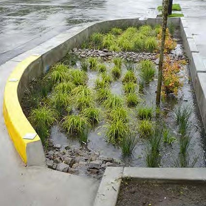 A planter designed to capture water runoff