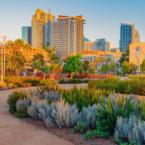 An open space with maintained landscaping in downtown San Diego