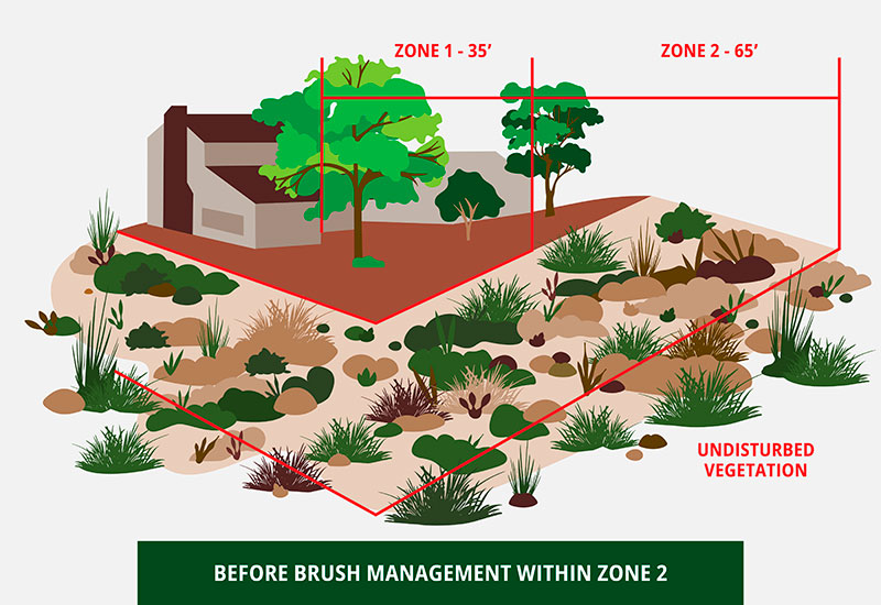 Before brush management within Zone 2 rendering