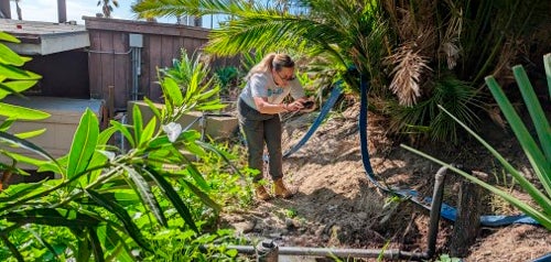 person conducting inspection