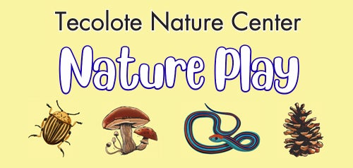 Illustration of a beetle, mushroom, snake, and pine cone