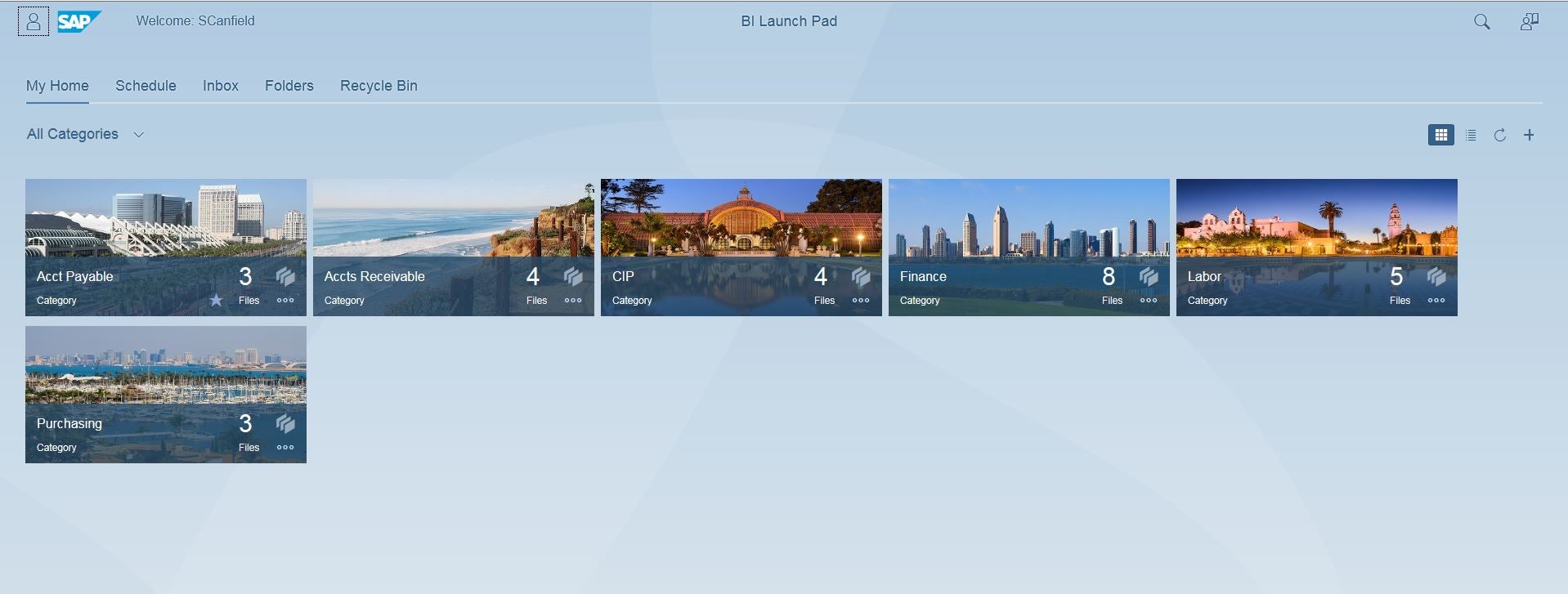 Business Intelligence Fiori Launchpad All Categories