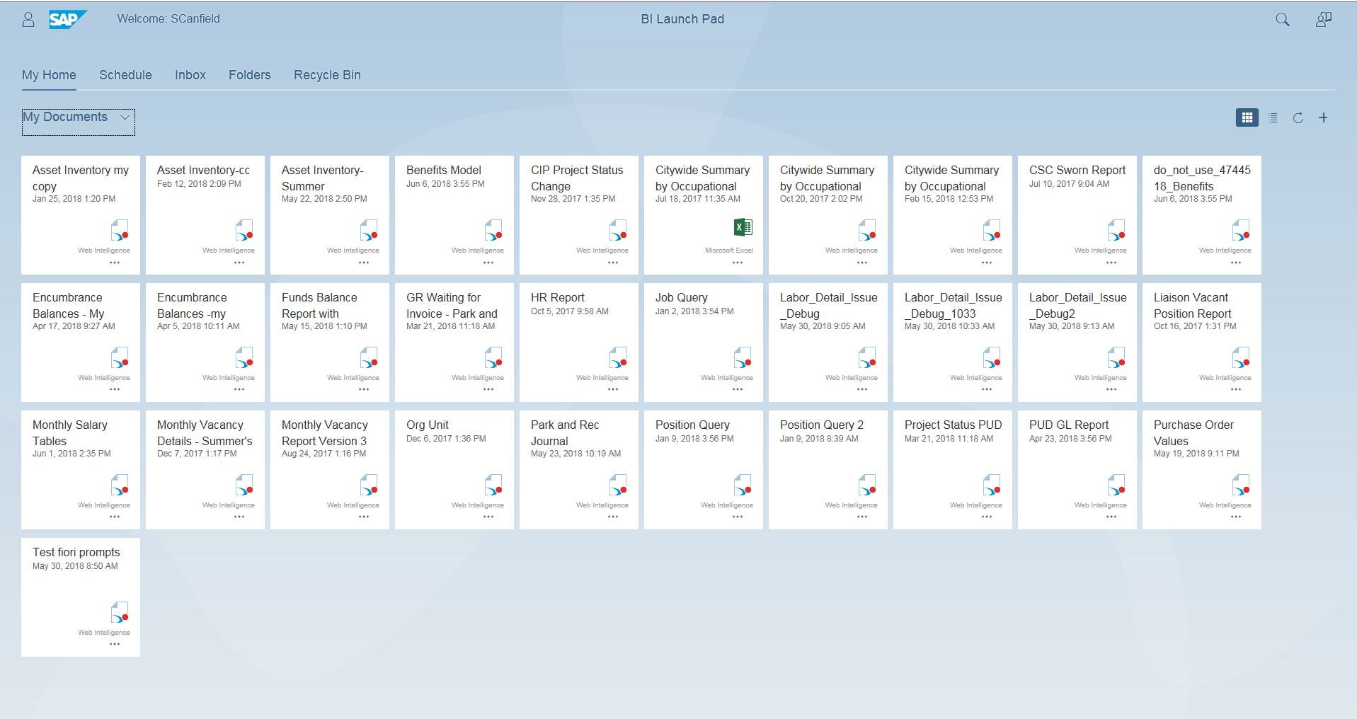 Business Intelligence Fiori Launchpad Report View