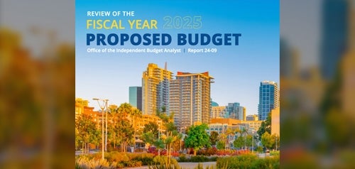 Review of the FY25 Proposed Budget