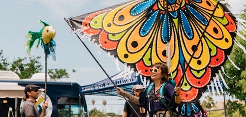 butterfly banner