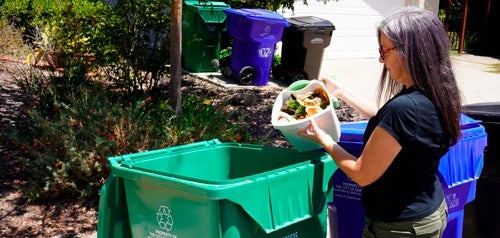 Composting bin