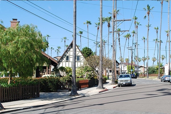 Houses along a street lined with palm trees