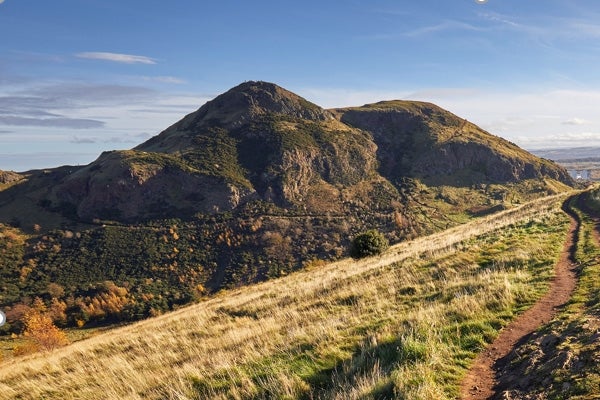 A trail in an open space hillside