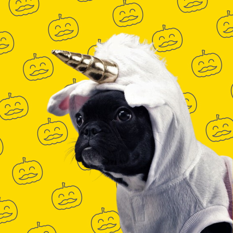 Enter Your Pet in Clark's Spooktacular Pet Costume Contest