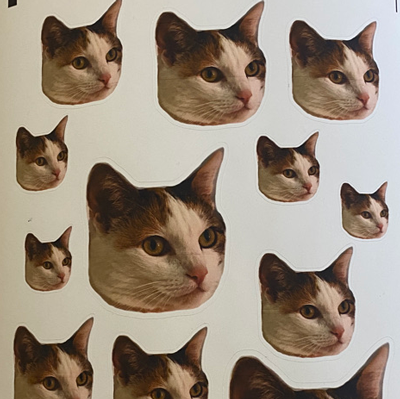 Cat stickers