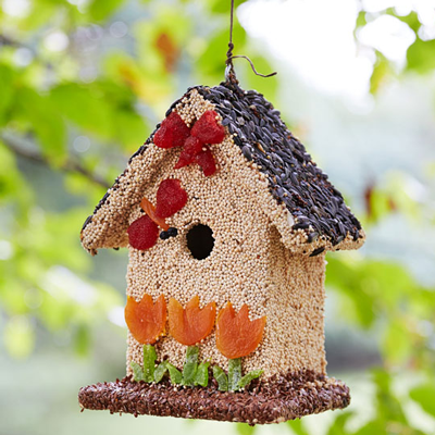 Image of a birdhouse made out of seeds