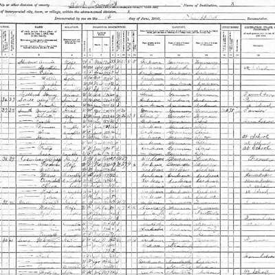 Image of census survey