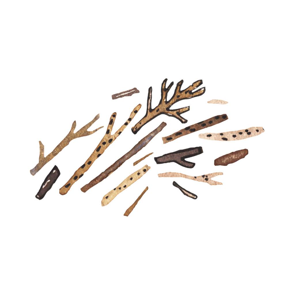 Sticks