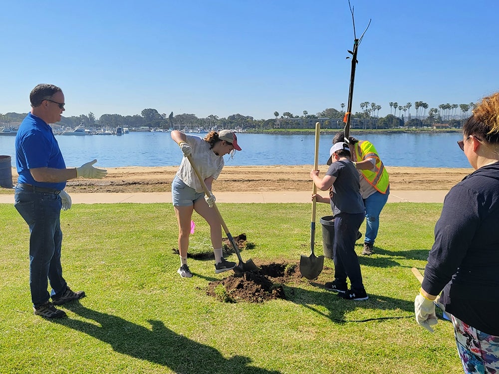 Tree Planting