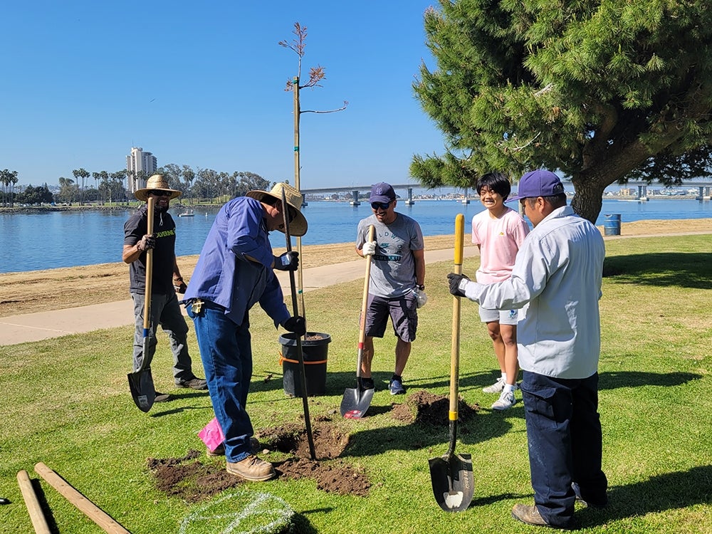 Tree Planting