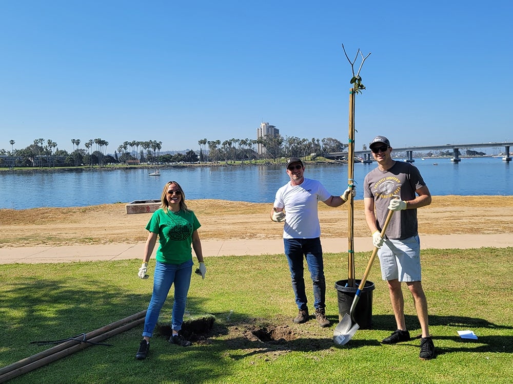 Tree Planting