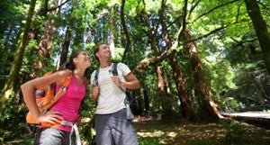 Two people with backpacks in the woods