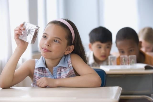 Girl in classroom holding up and studying arachnid encased in plastic, while two boys look at other insects sitting on top of an open book in the background.