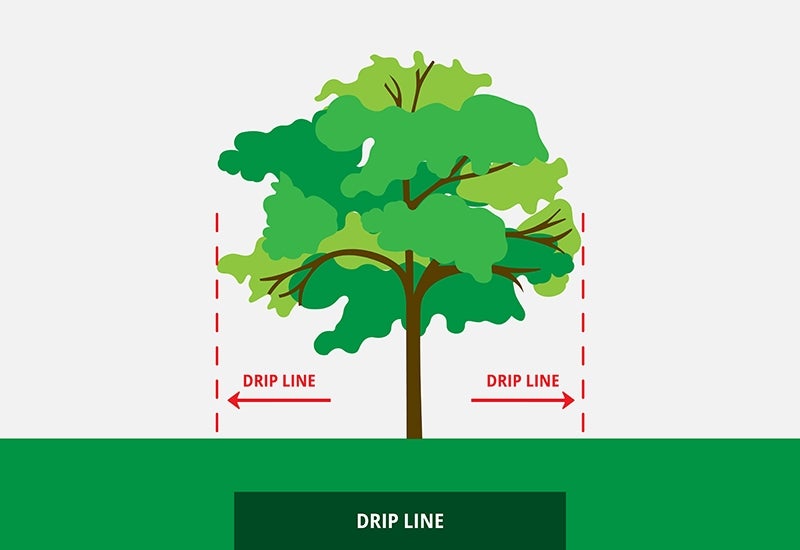 Drip line diagram