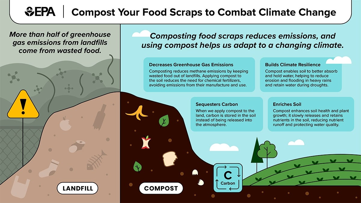 Compost Your Food Scraps to Combat Climate Change