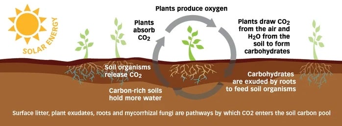 compost benefits diagram