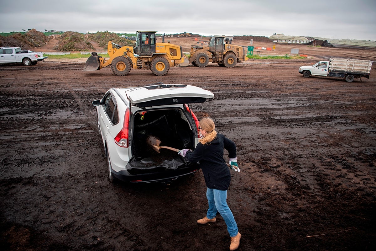 woman picking up free mulch 