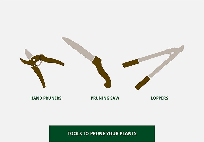 Pruning tools