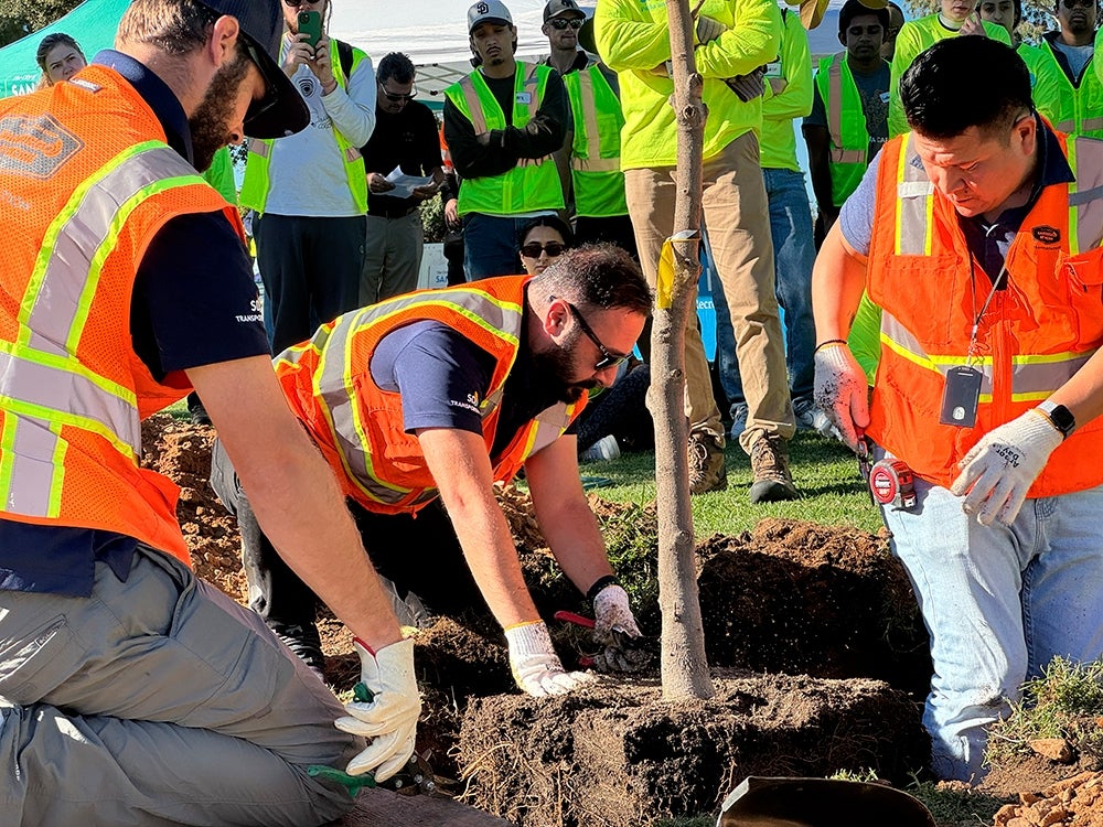 people planting a tree