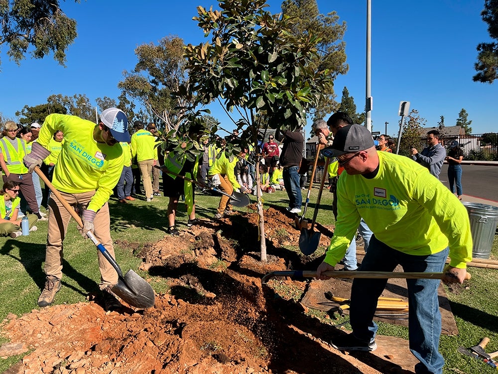 people planting trees