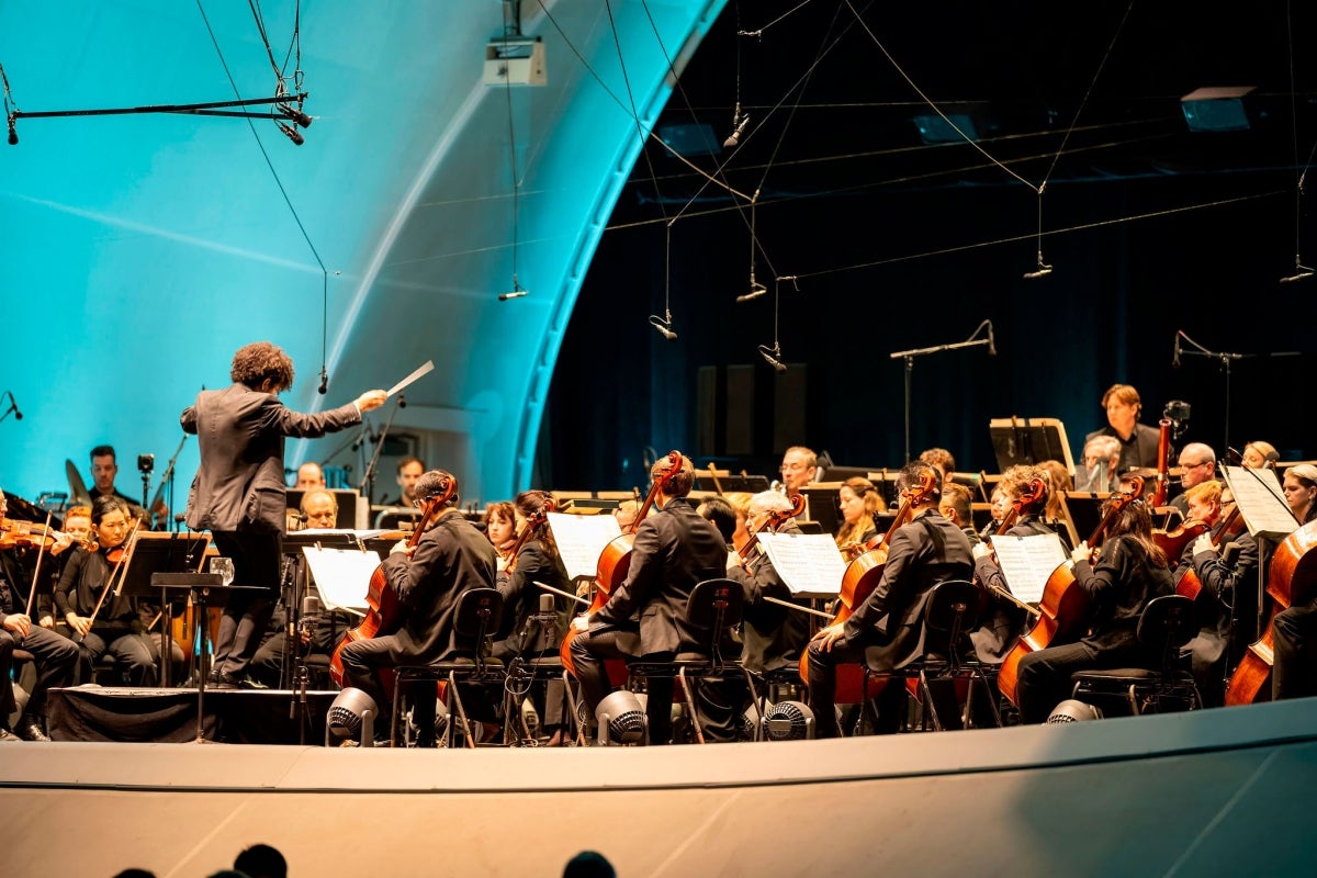 Conductor and orchestra