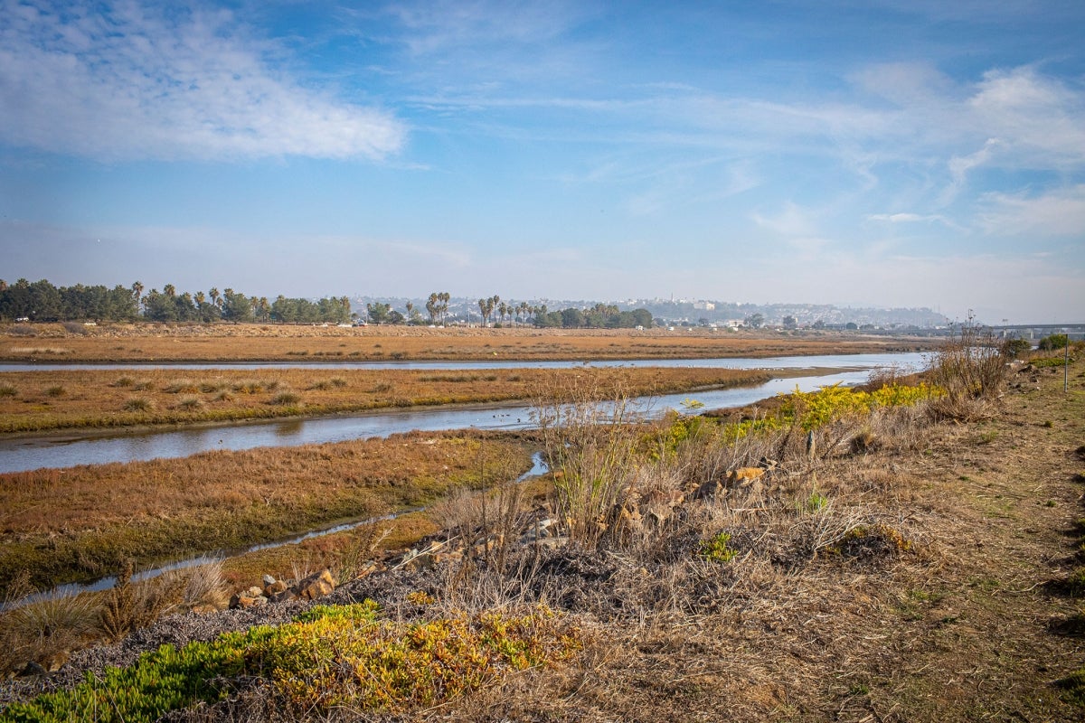 San Diego River