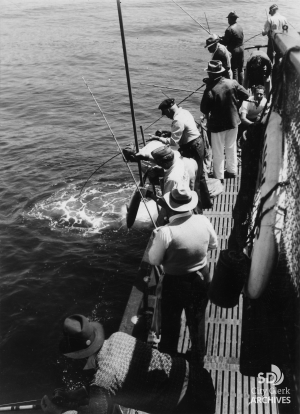 1944 Deep Sea Fishing off the Coronado Island