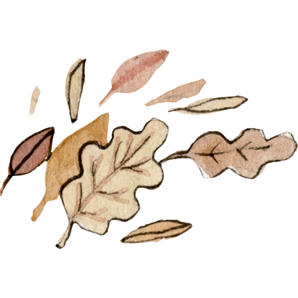 Leaves