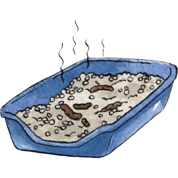 Kitty Litter