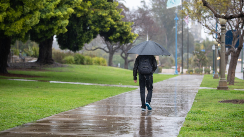 person with a backpack and umbrella, walking in the rain, surrounded by trees. 