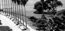 Ellen Browning Scripps Park&#44; La Jolla Circa 1965