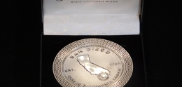Silver Anniversary Coin San Diego Est. 1769 from 250 San Diego
