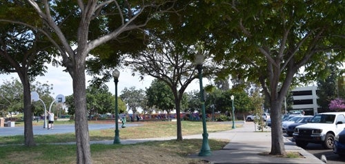 Ready, Set, Grow San Diego