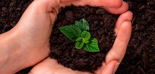 Compost Giveaways & Resources